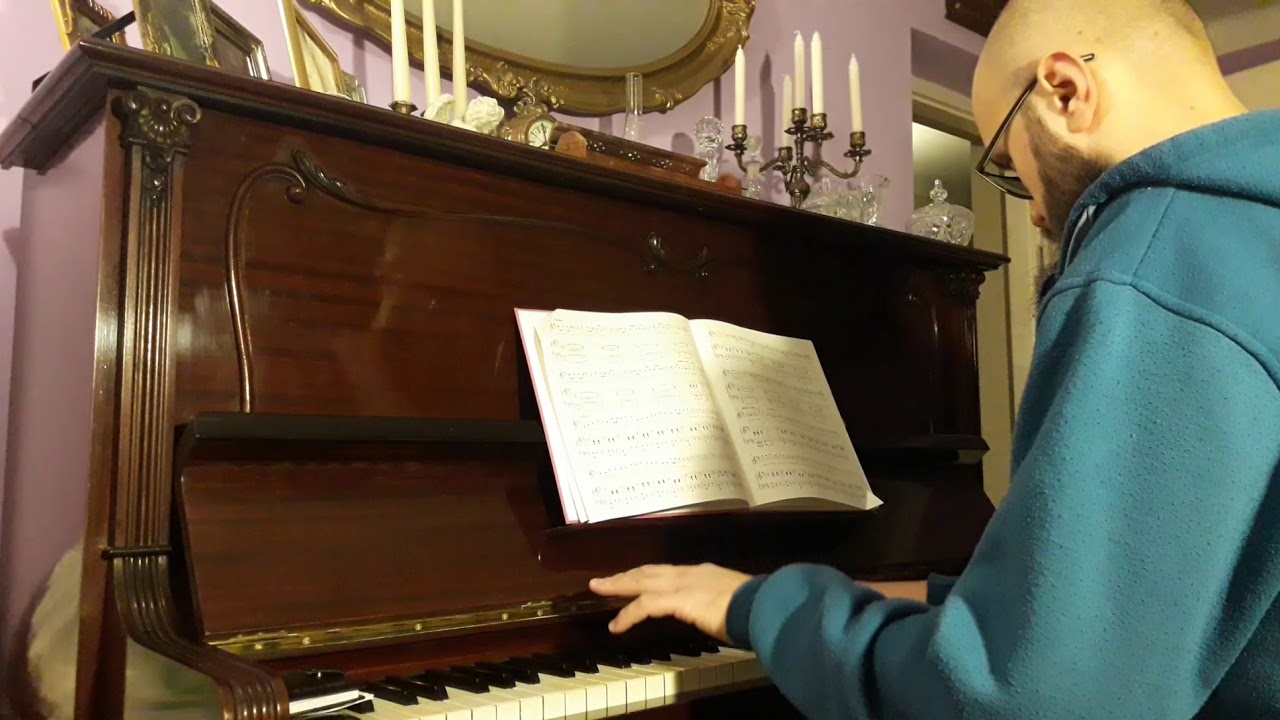 domowe melodie brzydala