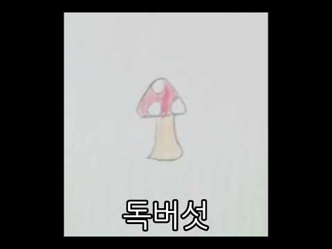 2022년 6월 12일 안드로메다 무키무키만만수 장구벌레 무당벌레
