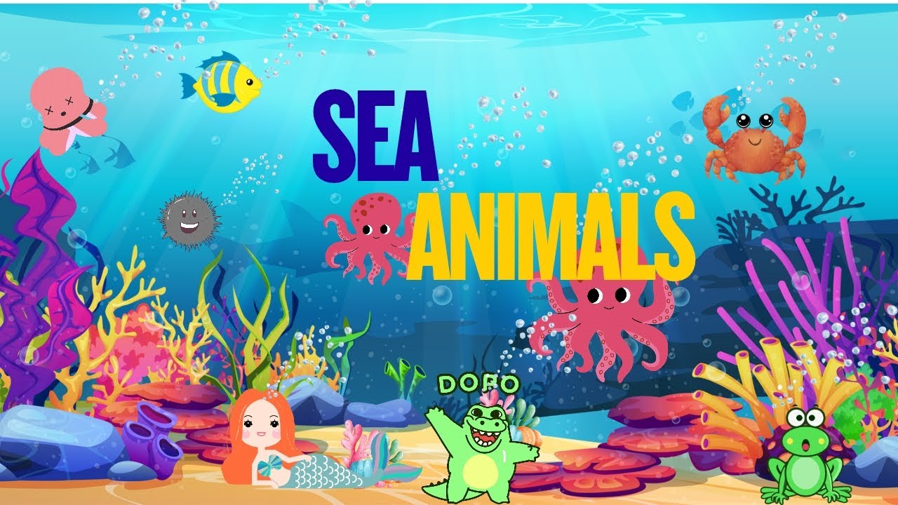 Sea Animals for Kids | Learn Ocean Animal Names with Fun| katoon katoon ...