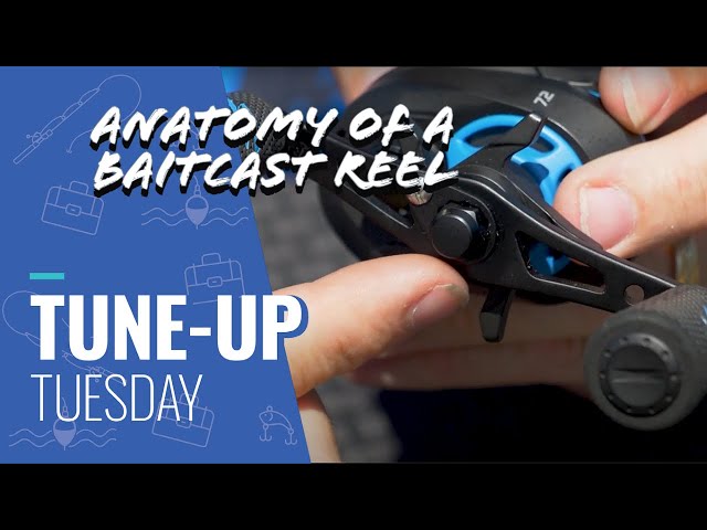 Tune Up Tuesday - Anatomy of a Baitcast Reel - Fishing Reels Dissected 