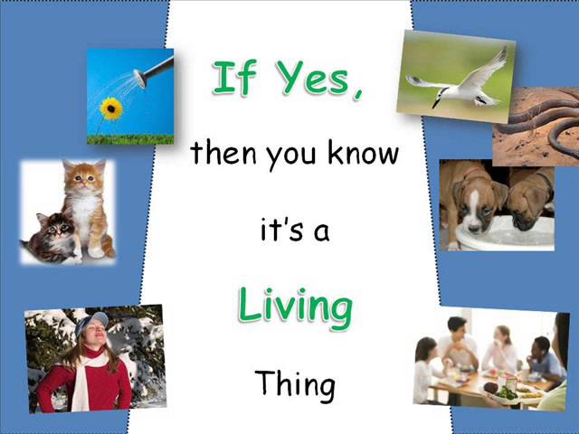 Lesson thumbnail