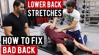 Stretches for LOW BACK PAIN! (Hindi / Punjabi)