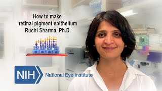 Protocol for making patient-derived eye tissue