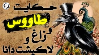 حکایت طاووس و زاغ ولاکپشت دانا|مجموعه حکایت های فارسی