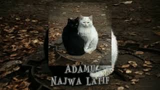 Adamu - Najwa Latif // Speed Up