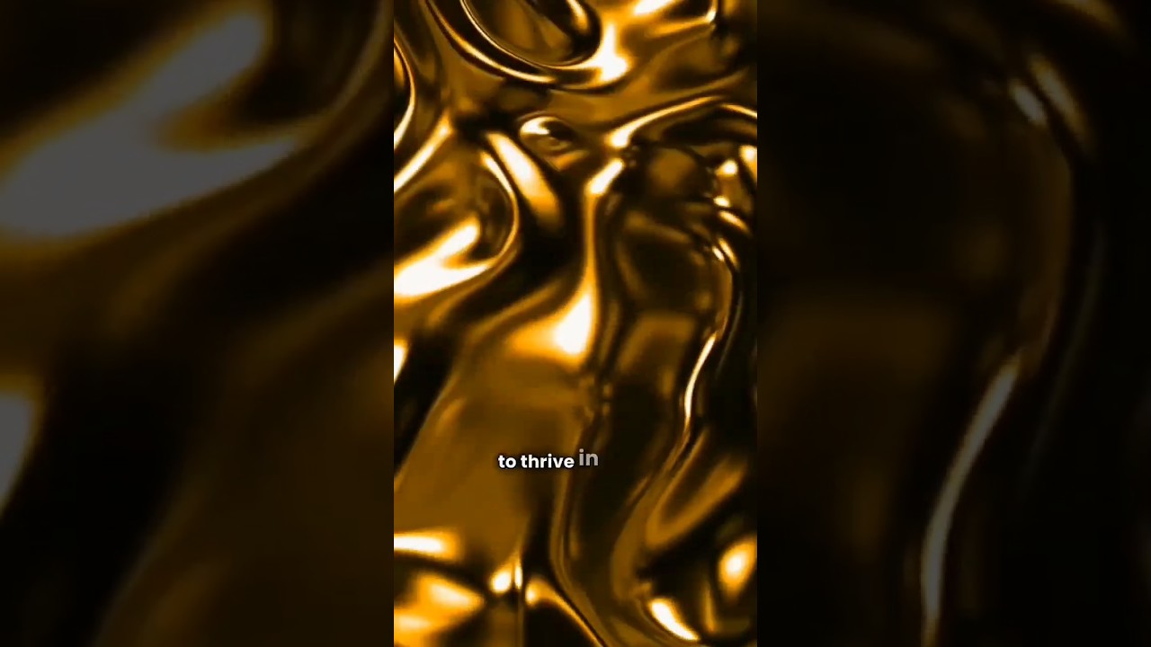 Introduction to Titanium