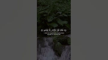 # وما خلقت الجن و الانس إلا ليعبدون # تلاوة خاشعة