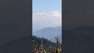 Lost in wilderness 🌿 #sandakphutrek #travel #love #nature #inspiration