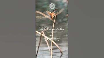 #تلاوات_مطرف_المطرف #لا_اله_الا_الله #صلوا_على_النبي #تلاوات_خاشعة #تلاوة_هادئة #السعودية #اكسبلور