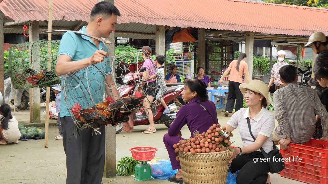 Robert sold chickens and met Mai who was selling lychees. Green forest life