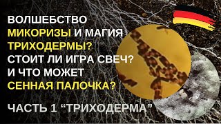 видео: Дача в Германии Эко-удобрение от природы: триходерма против фитопатогенов! Где купить, как применять картинка: Дача в Германии Эко-удобрение от природы: триходерма против фитопатогенов! Где купить, как применять