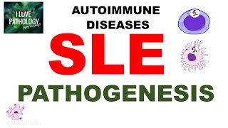 Autoimmune diseases |Part 4| Systemic Lupus Erythematosus |Pathogenesis
