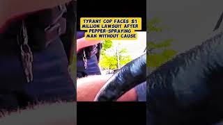 Charges dropped against man pepper sprayed during traffic stop