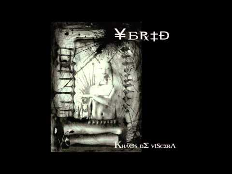 Ybrid — Exscreo   YBRID