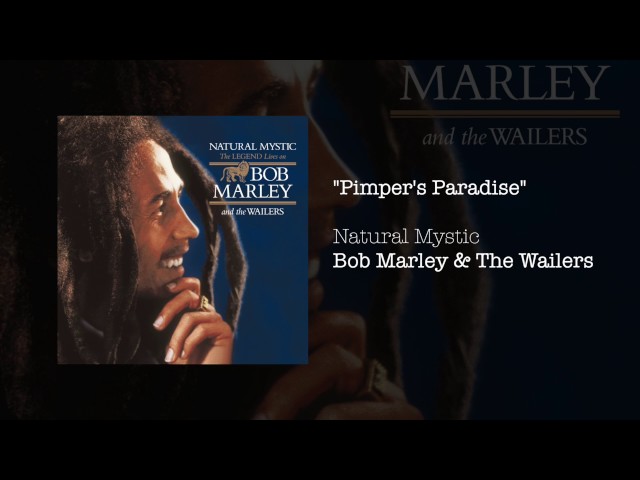 Pimper's Paradise (Tradução em Português) – Bob Marley & The