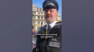 Met Police You Can Protest For Israel But Not For Palestine 