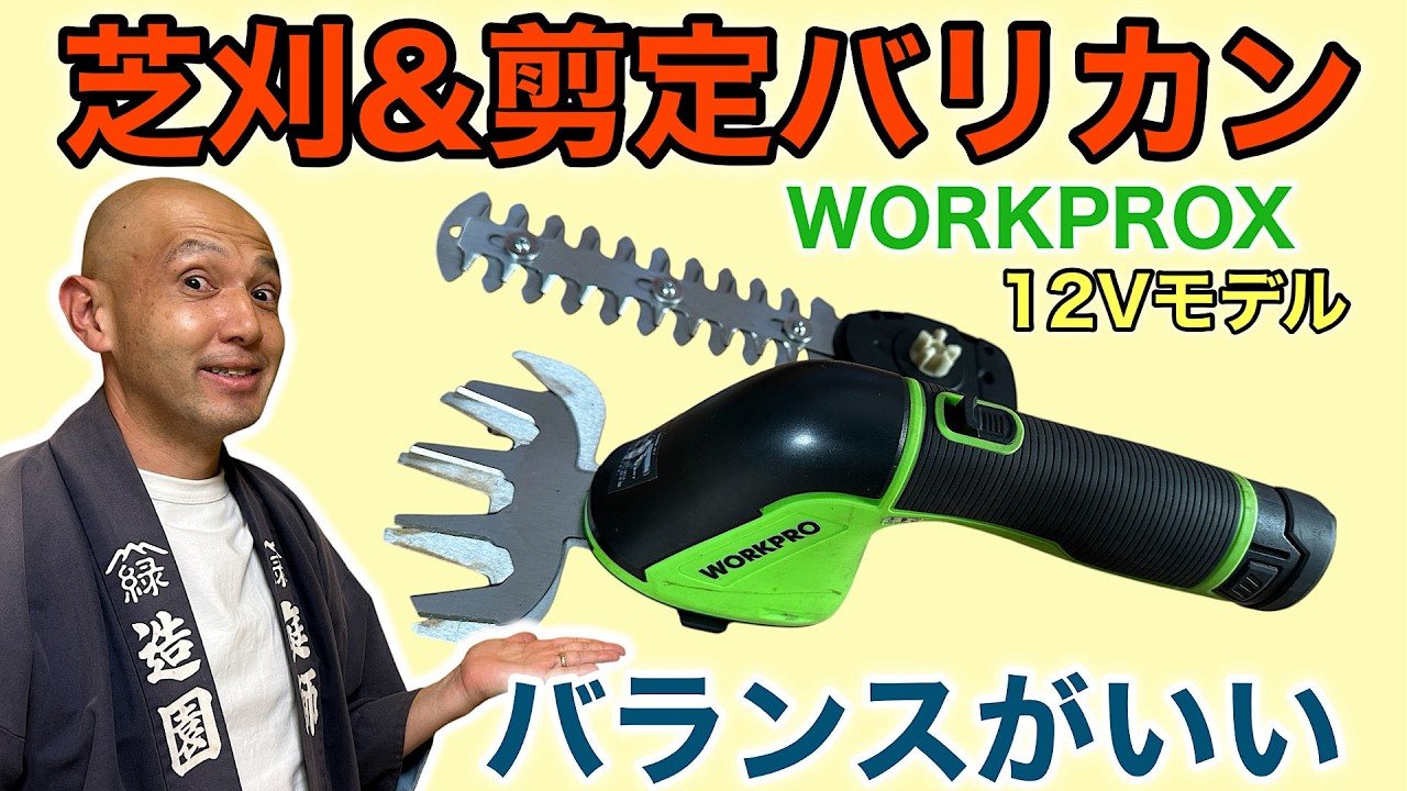 Perfect for Your First One] WORKPRO 12V Grass and Hedge Trimmer
