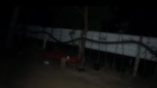 Susuri Gigande Susuruzu Thottupa Senake Anaconda Sighting Anaconda Biggest