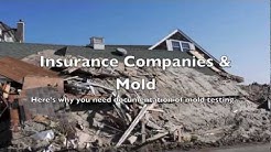 Mold and Insurance Claims - What You Need to Know to Protect Yourself