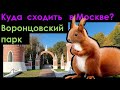 Куда пойти в Москве? Воронцовский парк #shorts