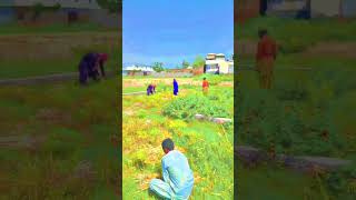 This Is A My Video Beautiful View Of This Video Khubsurat View Ess Video Ka