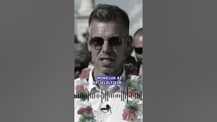 Saját EP-képviselőit is megalázta Magyar Péter #origo #magyarpéter  #hangfelvétel #botrány