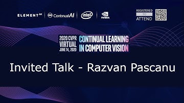 [CLVision @ CVPR2020] Invited Talk: "Framing the Continual Learning Problem" by Razvan Pascanu