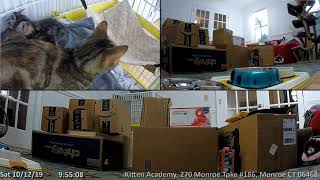Mailbag 2019-10-12 Tinypants in the big room!