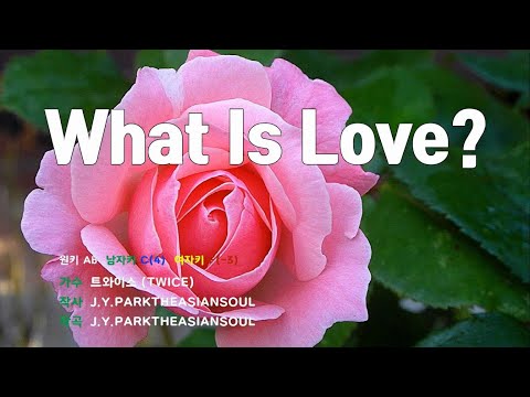 [은성 반주기] What Is Love? - 트와이스(TWICE)
