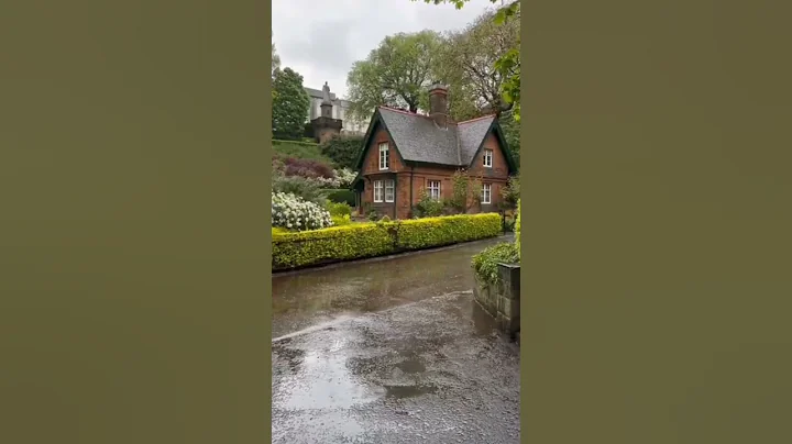 walking in the rain ☔ #shorts #rain #walking