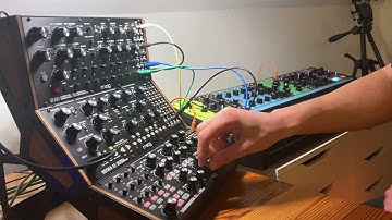 Another Moog Jam - Subharmonicon, Mother 32, DFAM and Moog Matriarch - "bricks and concrete"