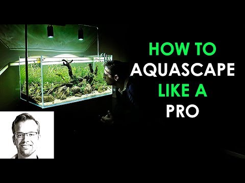 Comment AQUASCAPE nature AQUARIUM - The Easy Way!