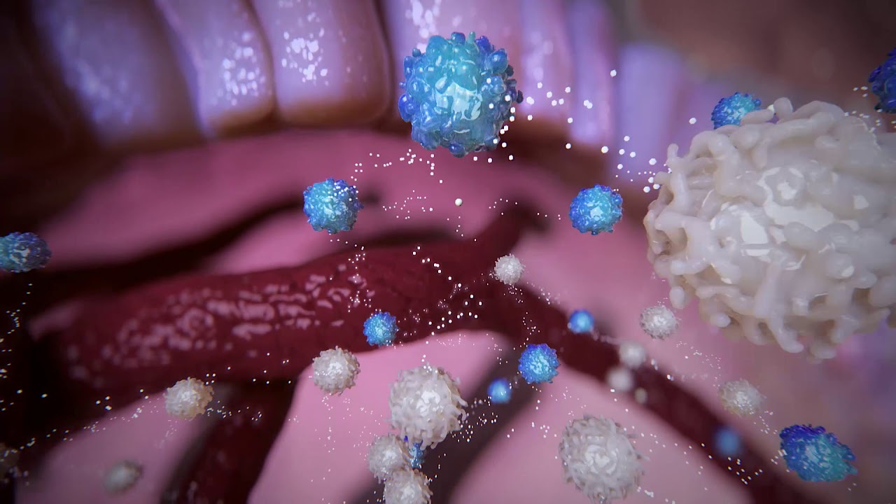 Hill's Prescription Diet Gastrointestinal Biome YouTube