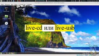 Linux для начинающих _ Переходим на Linux Mint 19 Tara Linux для начинающих _ Переходим на Linux Mint 19 Tara