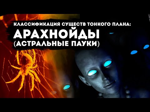 Арахнойды Астральные Пауки исследование через гипноз.Классификация существ тонкого плана.