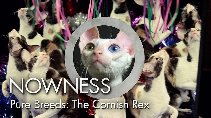 Watch the video about Episode 2