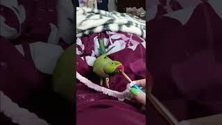 Kiwis Helpin Out