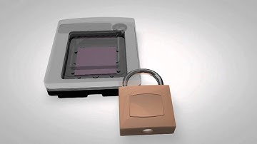 Digital PCR: Chip Technology with QuantStudio™ 3D Digital PCR System