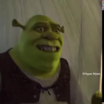 Shrek For Five Minutes Meme Design Templates