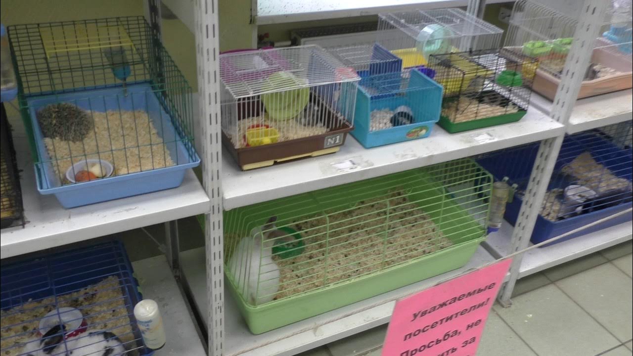 Ветаптека тбилисская. Зоомагазин моздок. Зоомагазин животные. Магазин товаров для животных. Магазин животных.