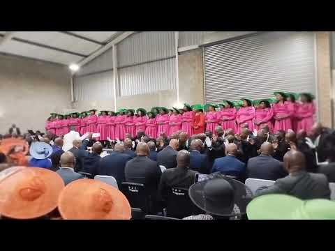 Wallacedene Combine Elder Zameko