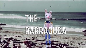 The Barracuda ((Official Video)) by The Boys Ranch