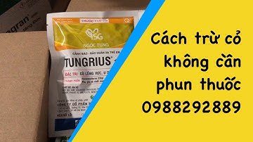 Cách diệt cỏ không cần phun thuốc.  Thuốc trừ cỏ chọn lọc Tungrius và Sifata.