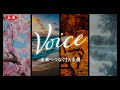 Voice 歌CM60秒 映像 歌詞入りVer