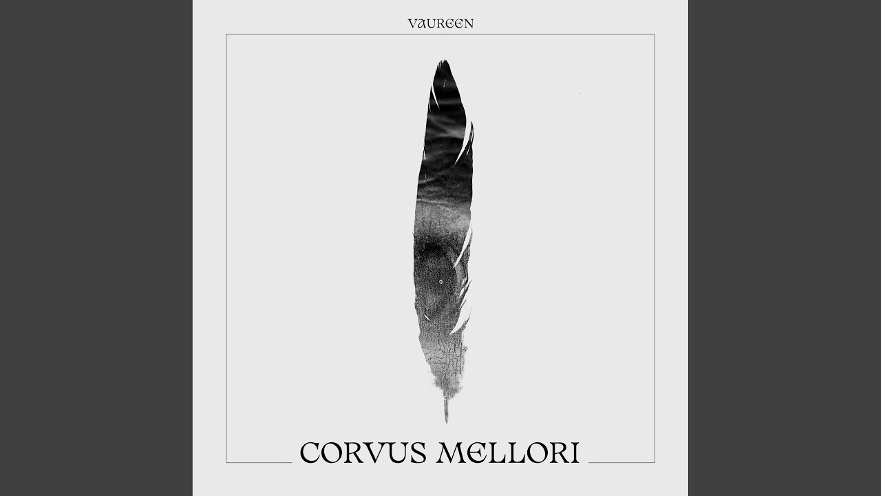 Corvus Mellori