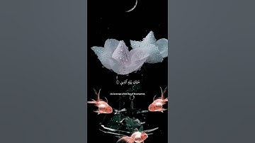 سوره الفاتحه بصوت الشيخ احمد العجمي #قرآن #قرأن #الشيخ