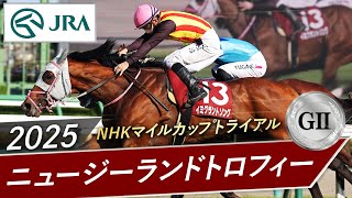 2025年 ニュージーランドトロフィー（GⅡ） | イミグラントソング