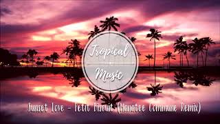 Sunset Lover - Petit Biscuit ( Manatee Commune Remix )