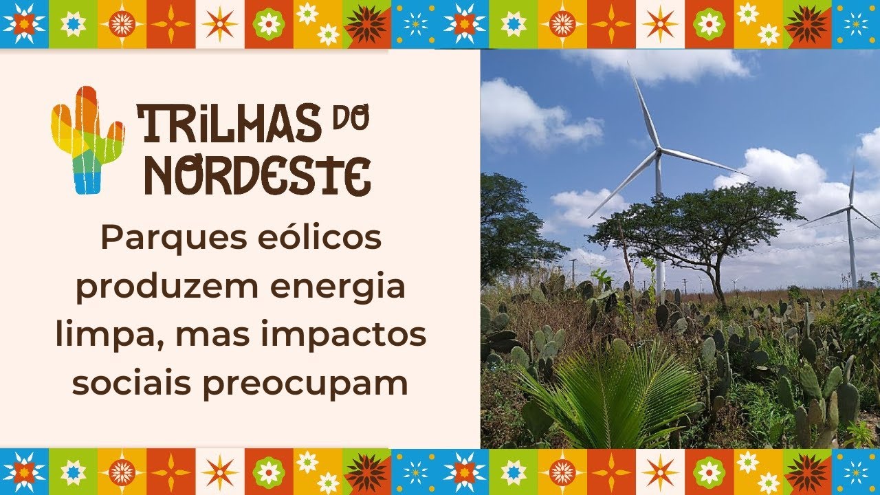 Parques eólicos produzem energia limpa, mas impactos sociais preocupam 