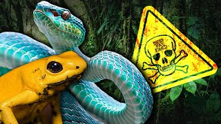 Venomous and Poisonous Animals = DFF #264 (Preview)